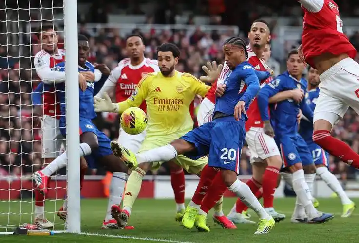 雨燕免费直播在线观看